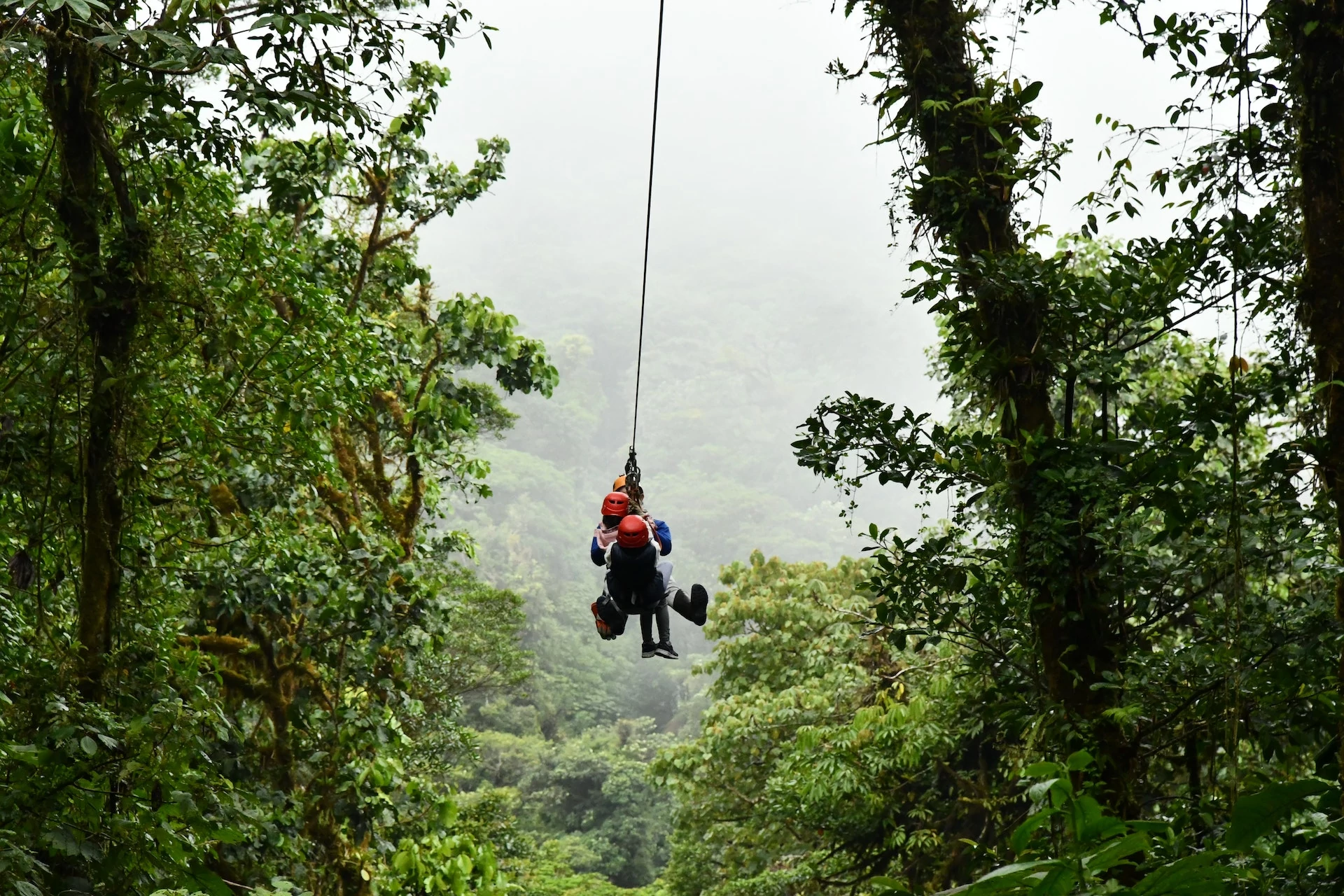 Zip Lining